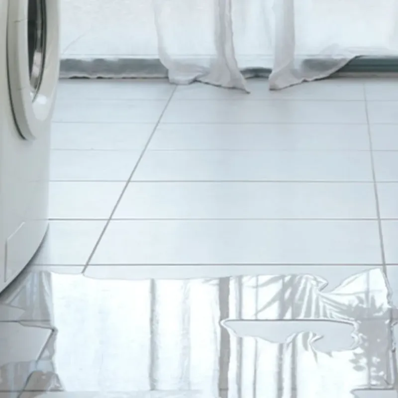 Appliance Leak Cleanup in Ramtown, NJ